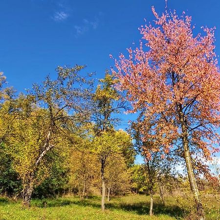 Pensiunea Agroturistica Piscul Soarelui Campulung Exterior foto