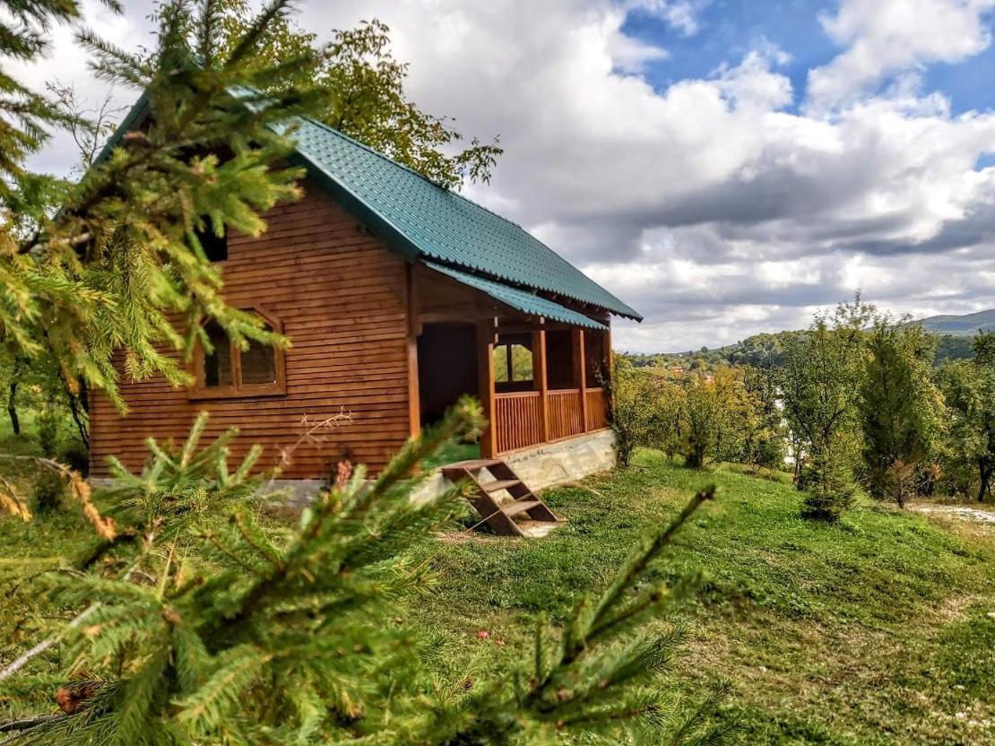 Pensiunea Agroturistica Piscul Soarelui Campulung Exterior foto
