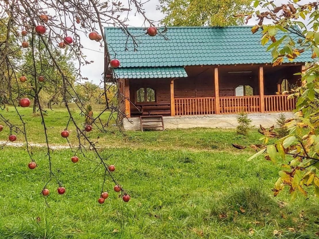Pensiunea Agroturistica Piscul Soarelui Campulung Exterior foto