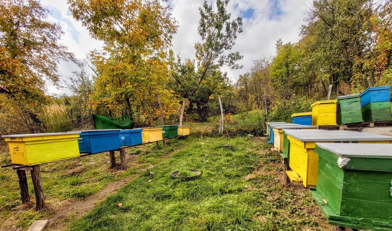Pensiunea Agroturistica Piscul Soarelui Campulung Exterior foto