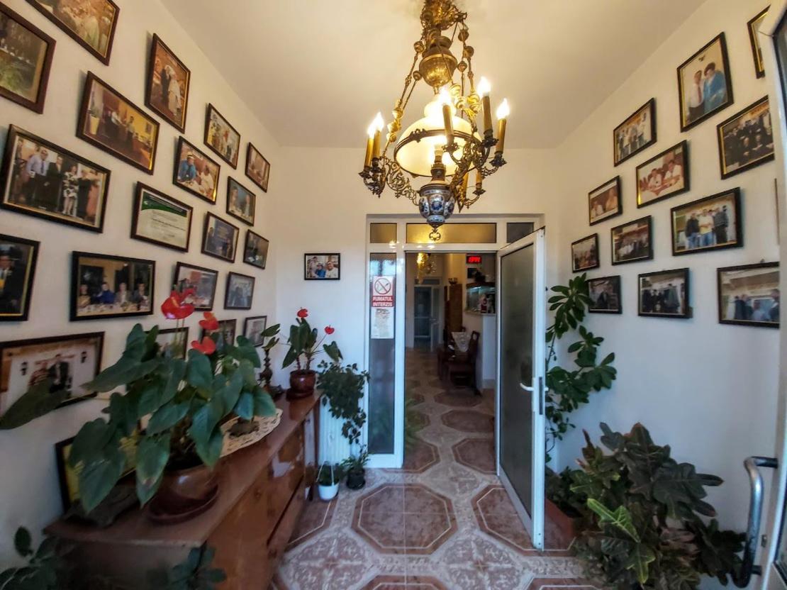 Pensiunea Agroturistica Piscul Soarelui Campulung Exterior foto
