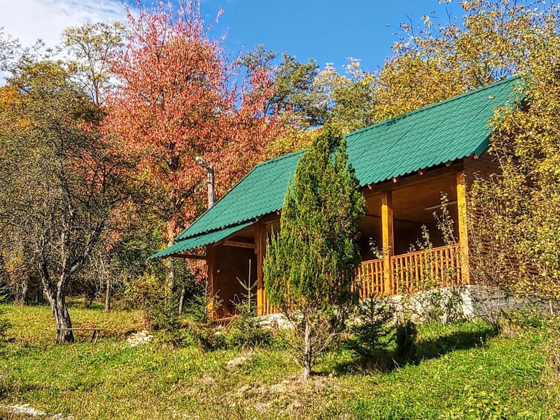 Pensiunea Agroturistica Piscul Soarelui Campulung Exterior foto