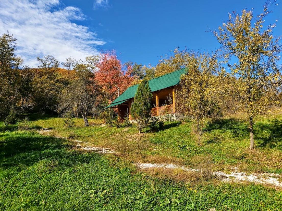 Pensiunea Agroturistica Piscul Soarelui Campulung Exterior foto