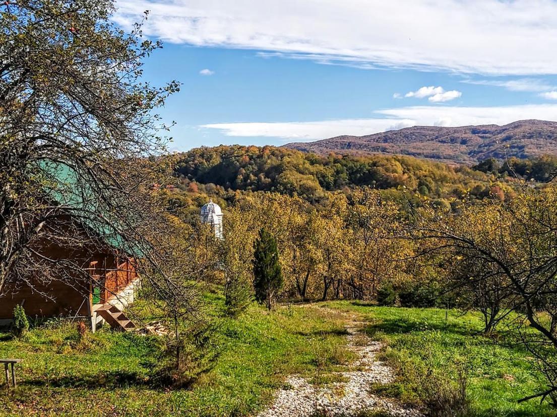 Pensiunea Agroturistica Piscul Soarelui Campulung Exterior foto
